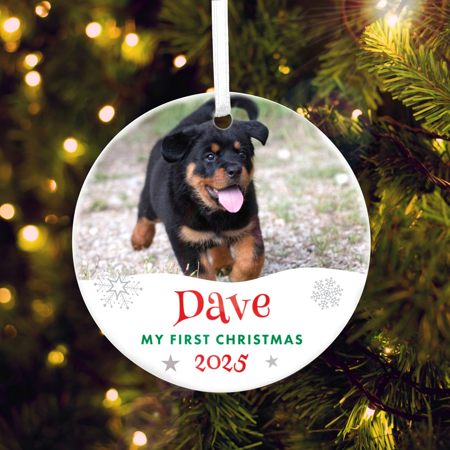Pet Photo Ceramic Disc Hanging Decoration + Gift Box