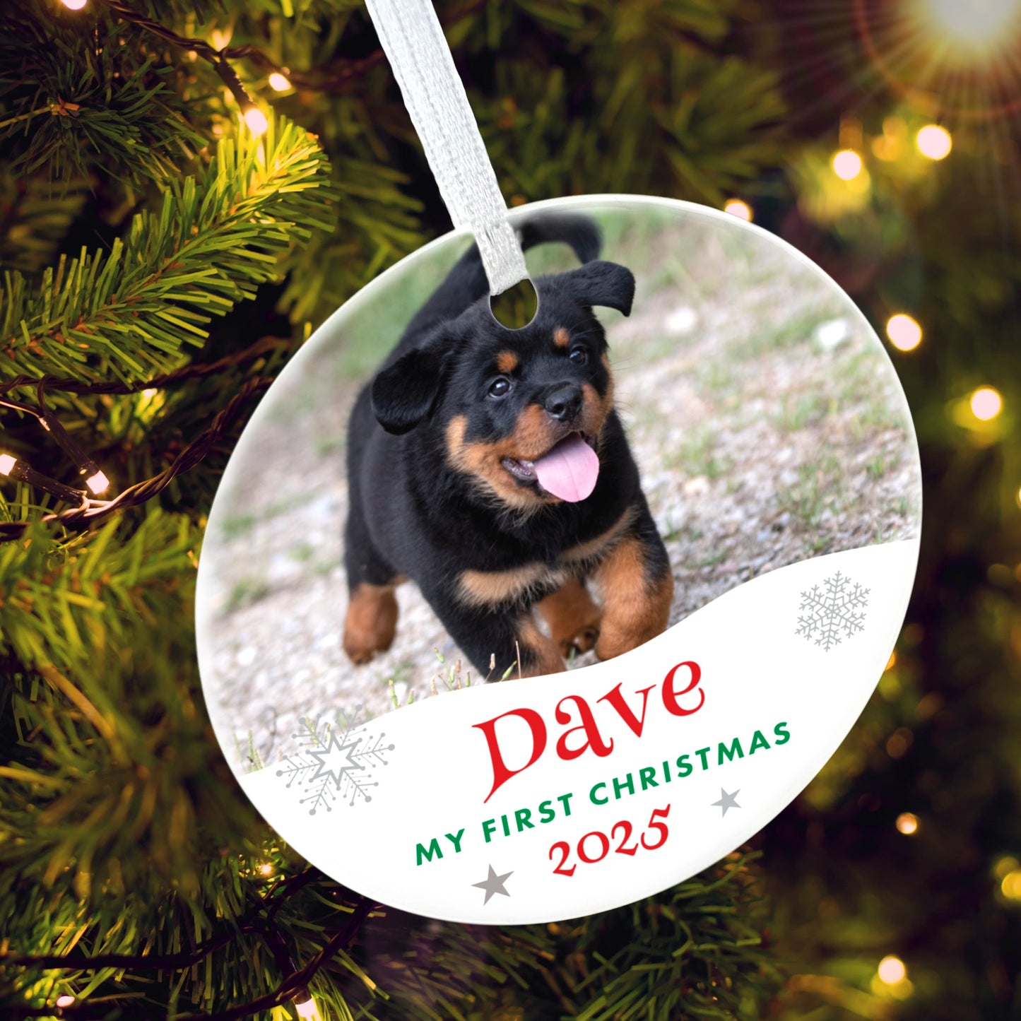 Pet Photo Ceramic Disc Hanging Decoration + Gift Box