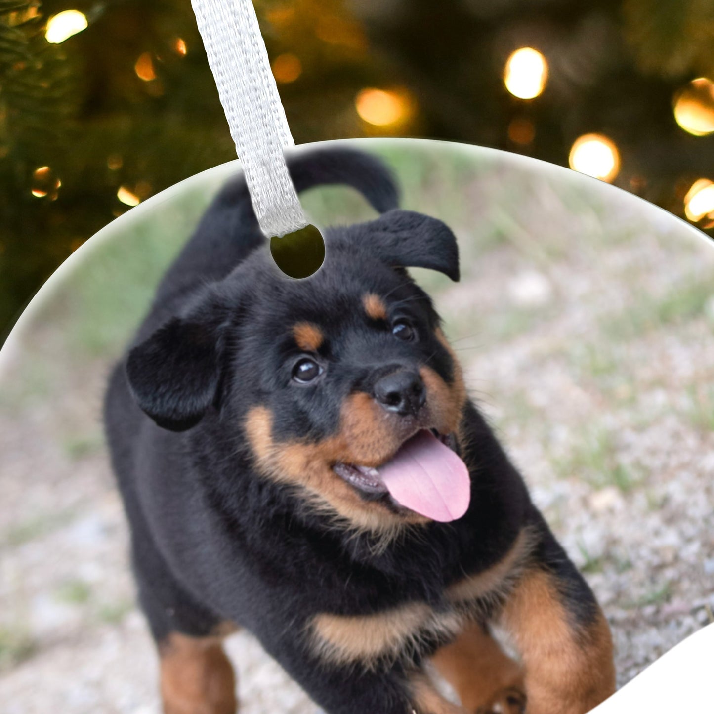 Pet Photo Ceramic Disc Hanging Decoration + Gift Box
