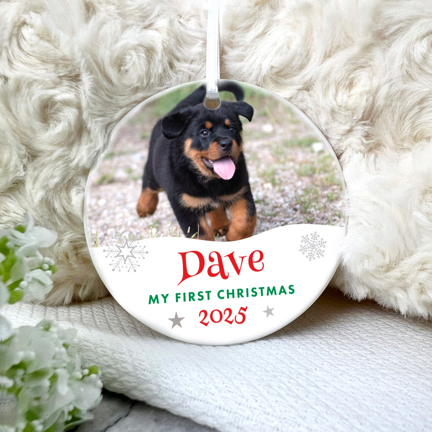 Pet Photo Ceramic Disc Hanging Decoration + Gift Box