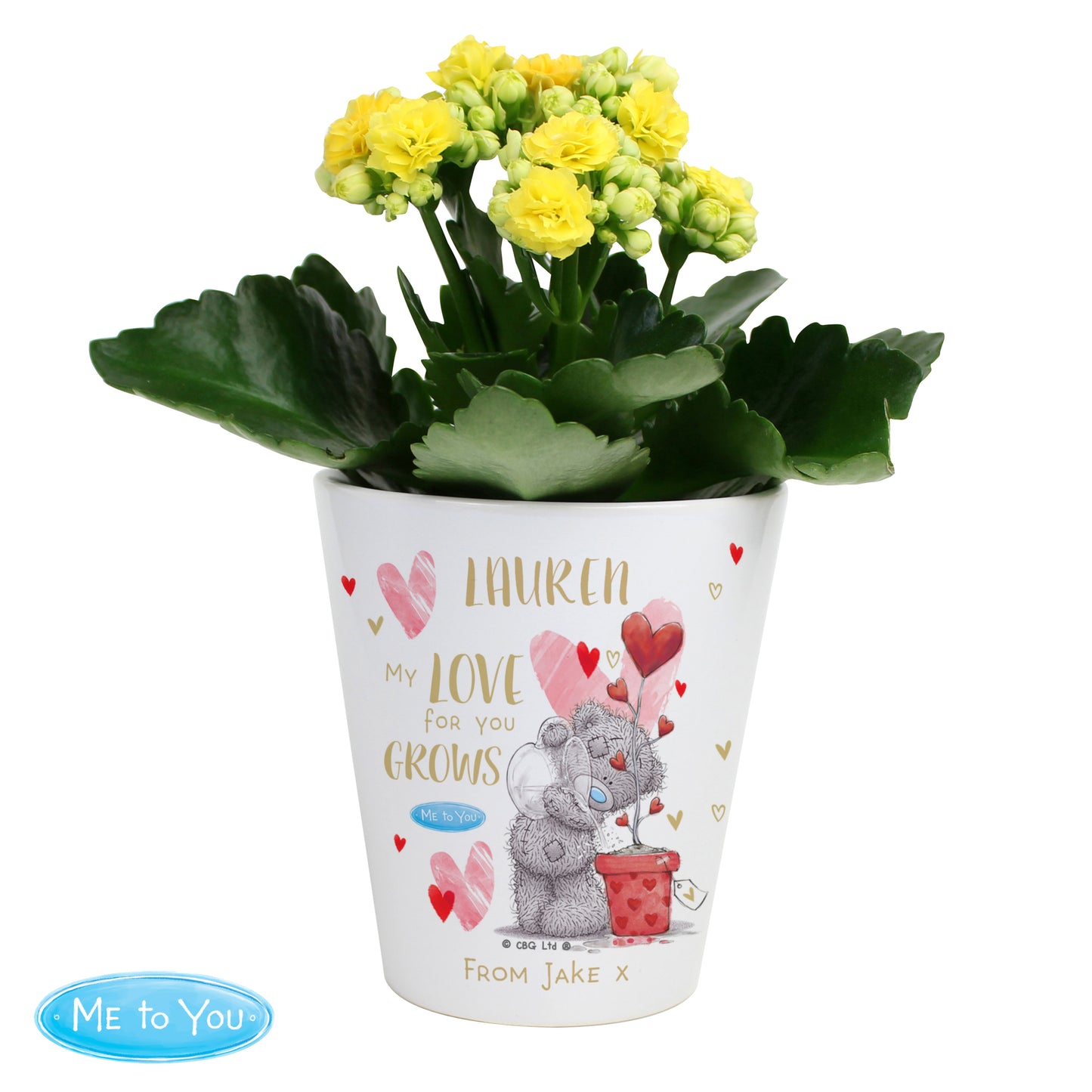 Personalised Me To You Love Grows Plant Pot