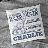 Personalised Dinosaur Facts Childrens Cushion