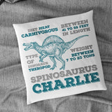 Personalised Dinosaur Facts Childrens Cushion