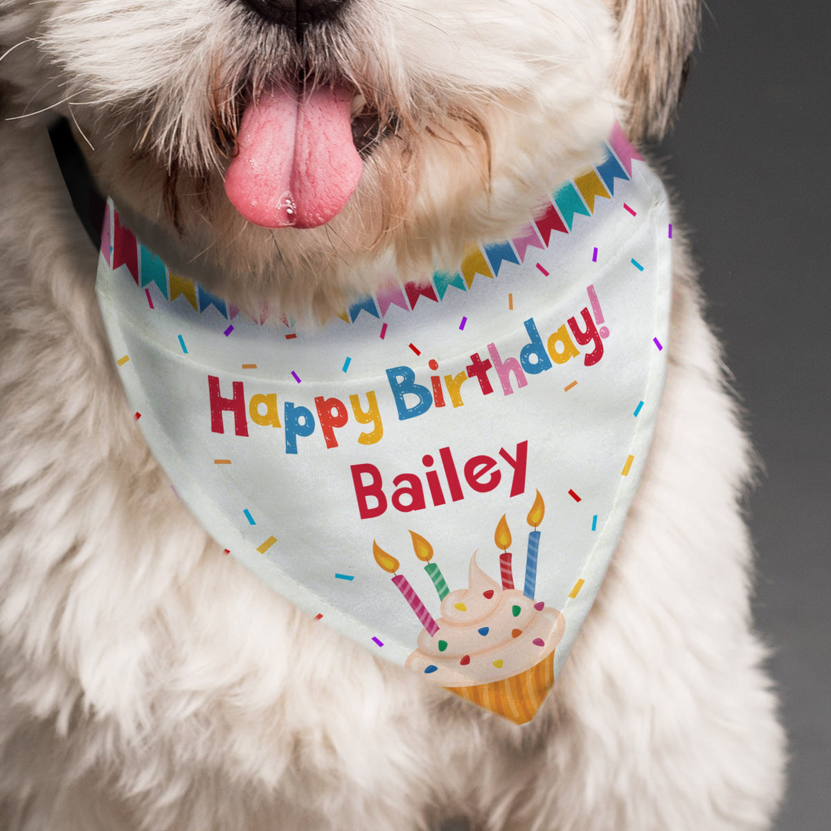 Personalised Dog Bandanas