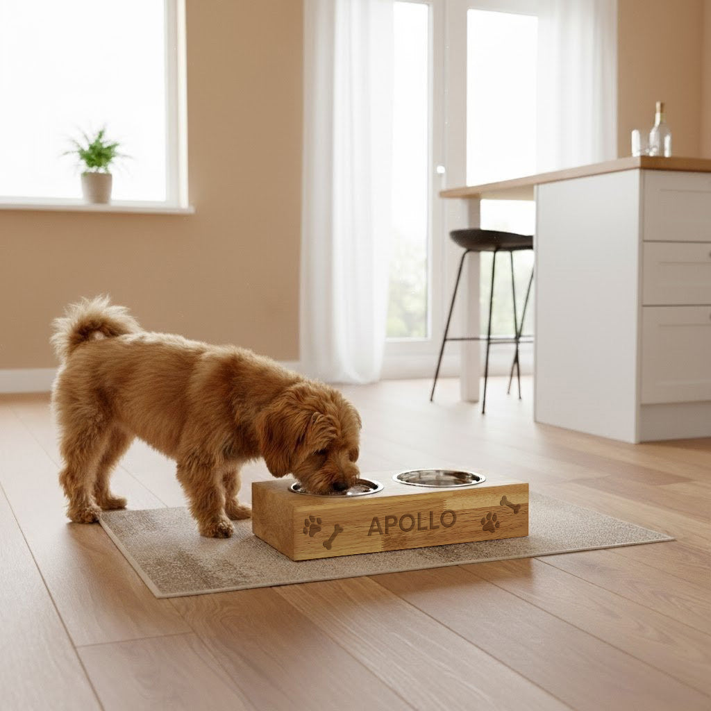 Personalised Wooden Raised Double Dog Bowl
