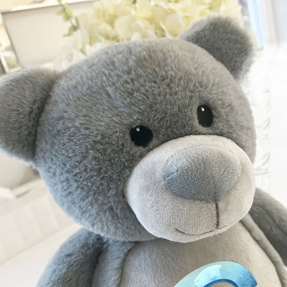 Personalised Dinosaur Alphabet Grey Plush Teddy Bear 42cm | New Baby, 1st Birthday & Christening Gift
