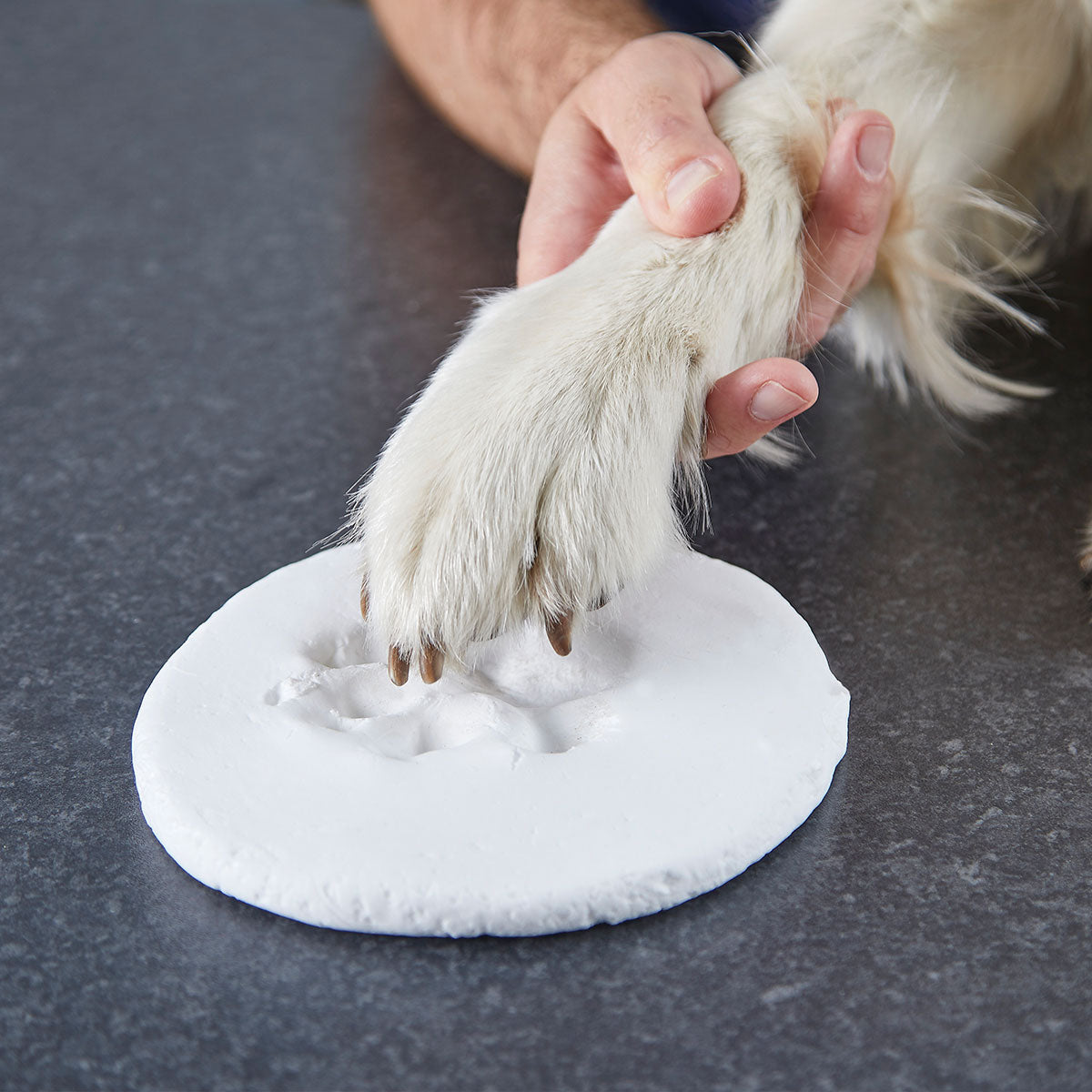 Pet Paw Print Clay Impression Tin