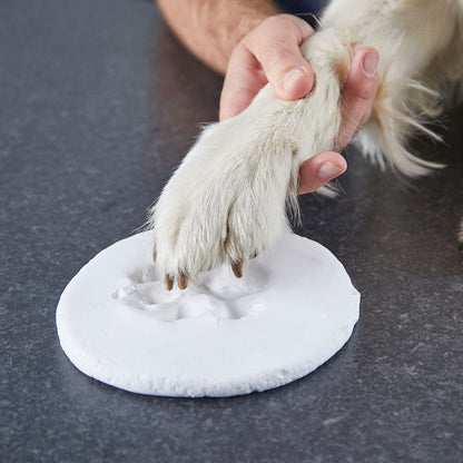 Pet Paw Print Clay Impression Tin