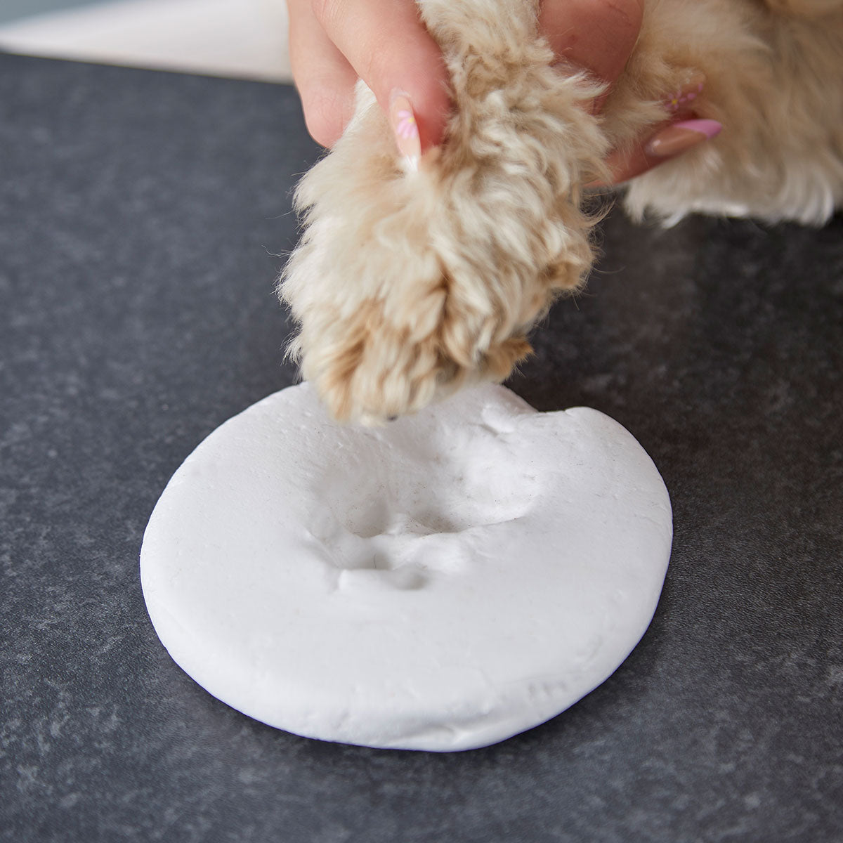 Pet Paw Print Clay Impression Tin