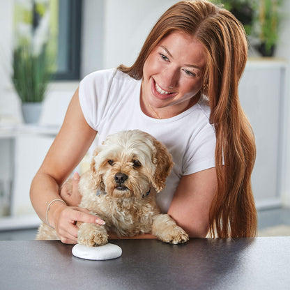 Pet Paw Print Clay Impression Tin
