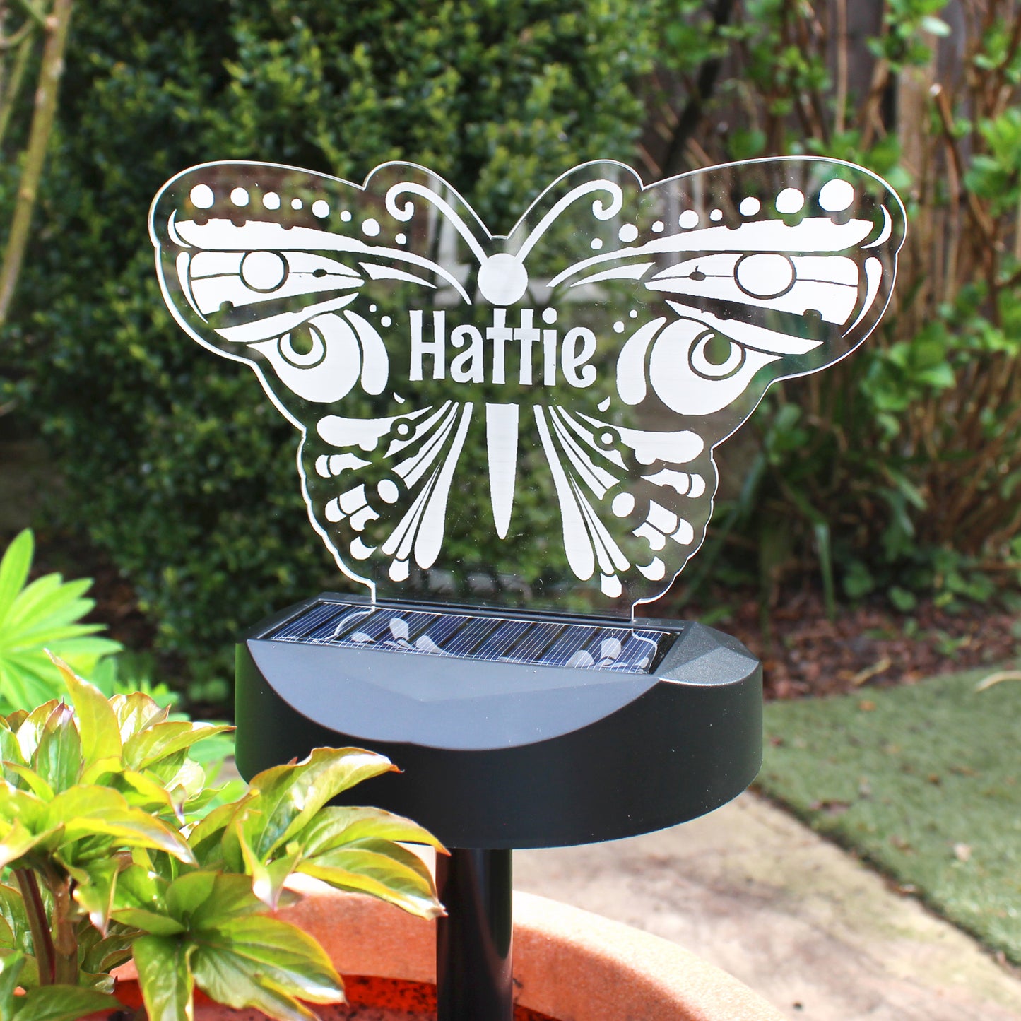Personalised Butterfly Solar Light