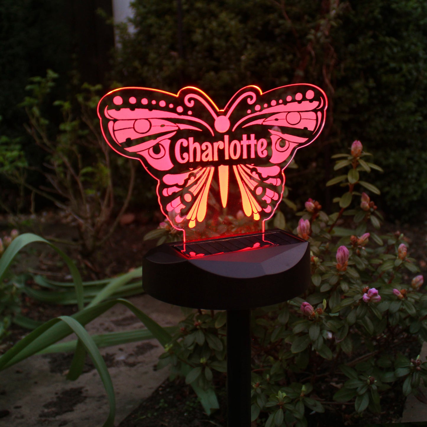 Personalised Butterfly Solar Light