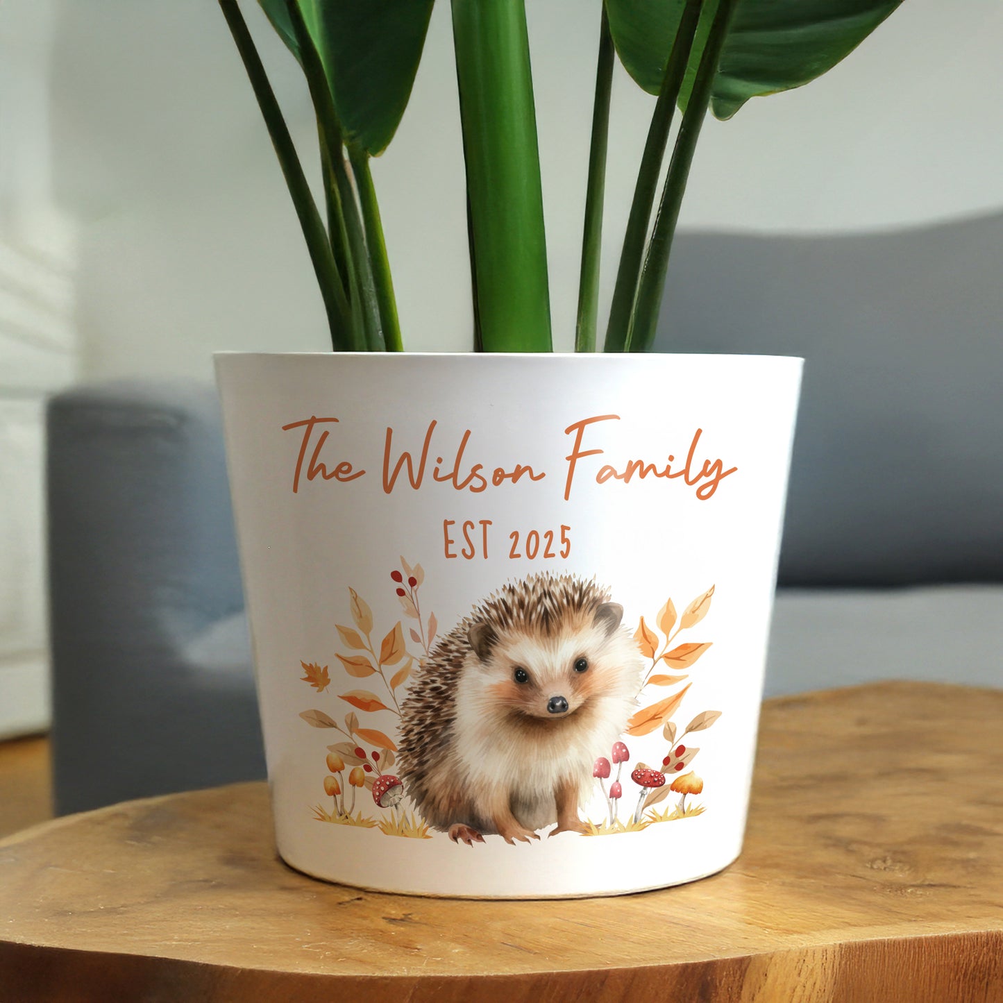 Personalised Hedgehog Large Plant Pot