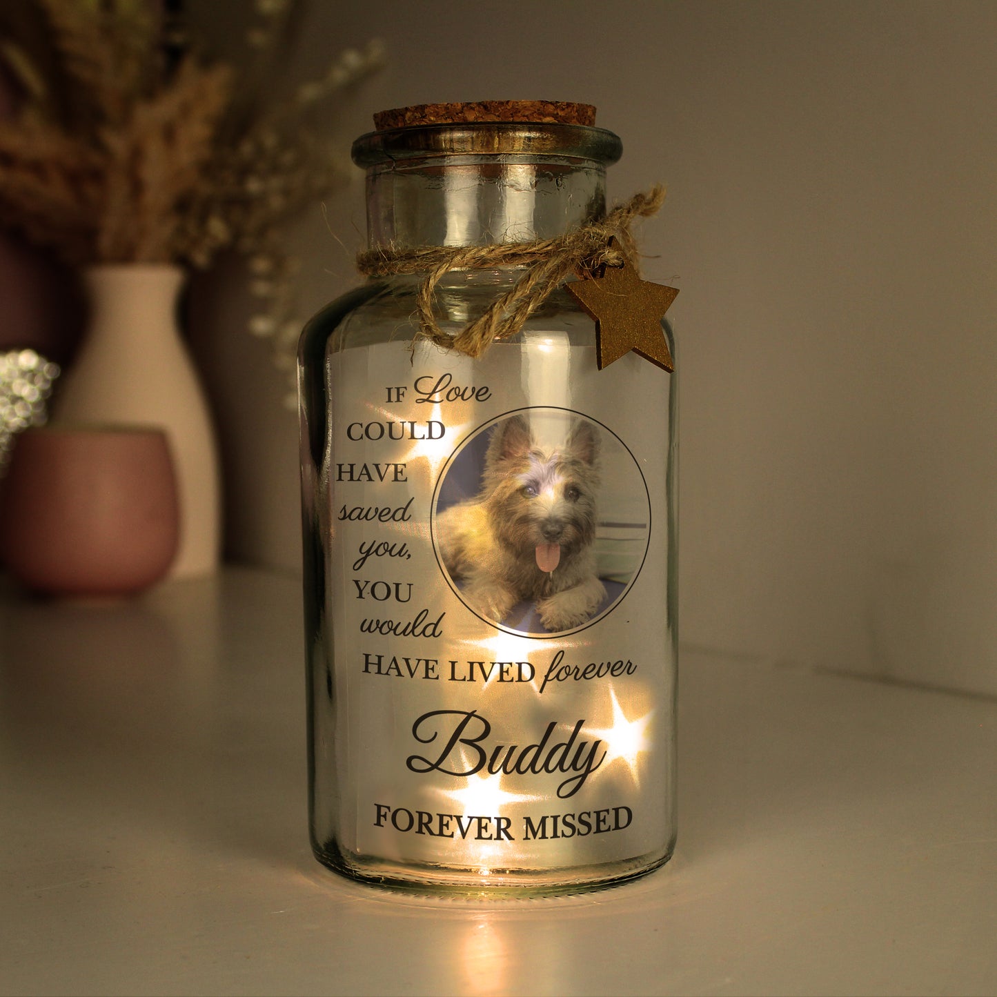 Personalised Pet Memorial Photo Upload LED Light Up Jar