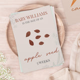 Personalised Bump to Baby Pregnancy Milestone Cards