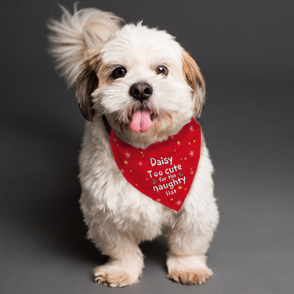 Personalised Pets Gifts