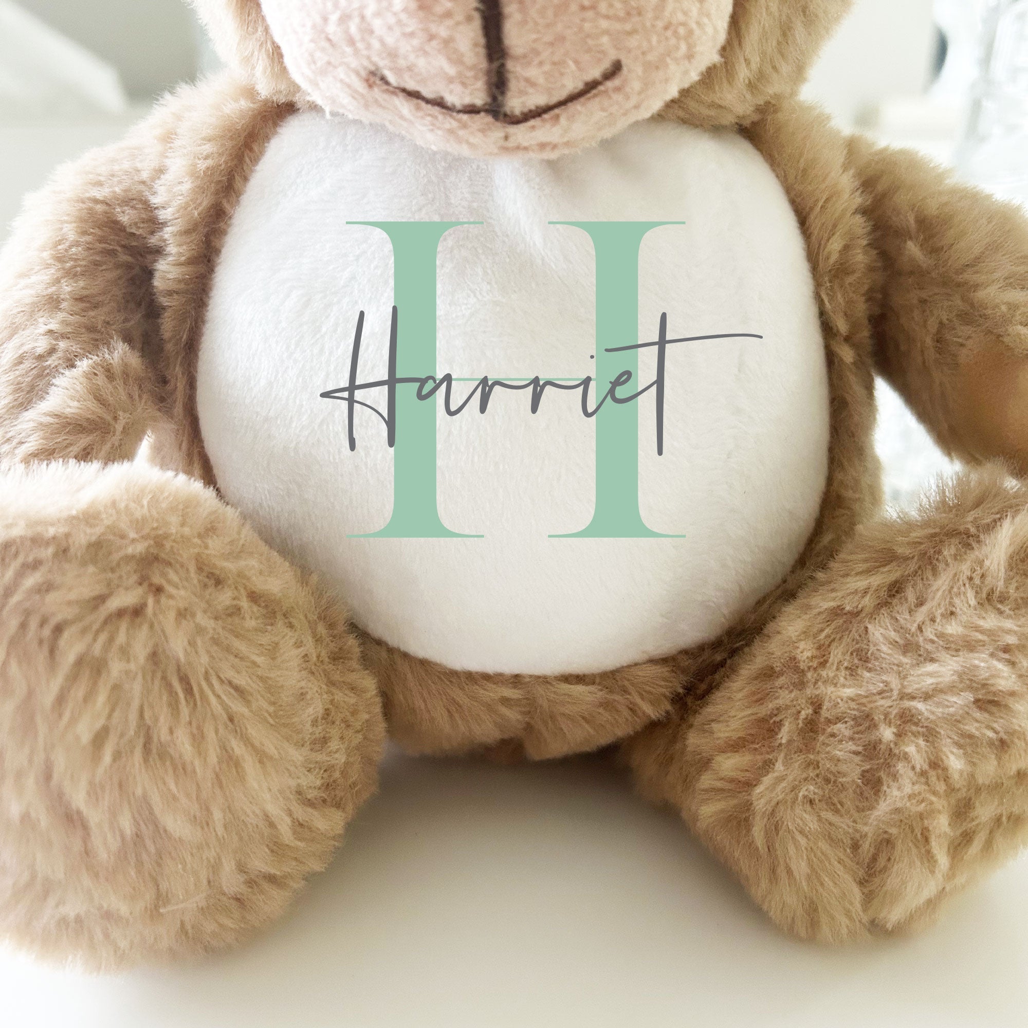 Name & Initial Brown Bear - Green, Pink, Blue, Neutral