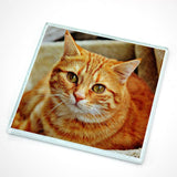 Personalised Square Glass Photo Coaster Coaster Always Personal 
